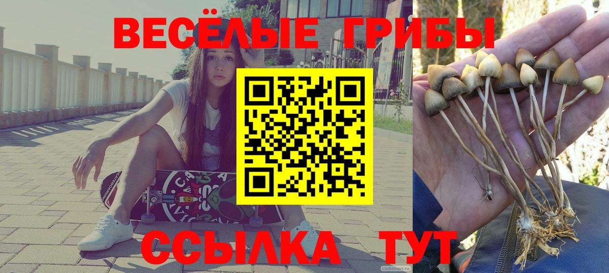 Галлюциногенные грибы мухоморы  Вход с VPN  Домодедово  как найти наркотики  Псилоцибиновые грибы ЛСД 